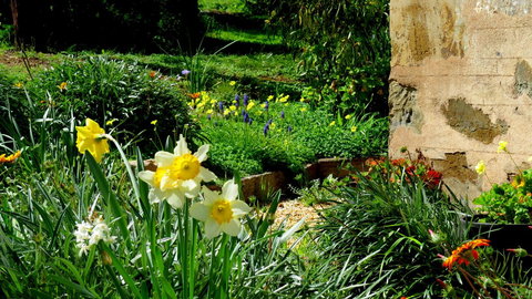 The Pig And Whistle - Tourism Gold Coast 20