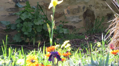 The Pig And Whistle - Tourism Gold Coast 17