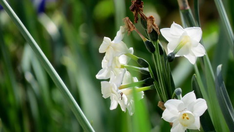 The Pig And Whistle - Tourism Gold Coast 21