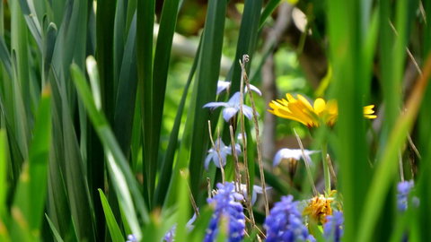 The Pig And Whistle - Tourism Gold Coast 22