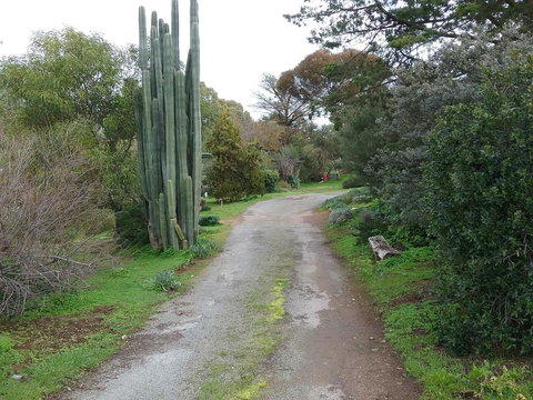 The Pig And Whistle - Tourism Gold Coast 37