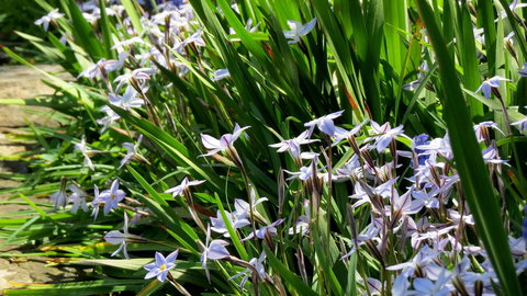 The Pig And Whistle - Tourism Gold Coast 24