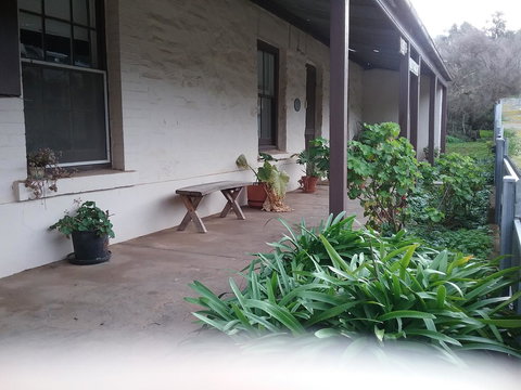 The Pig And Whistle - Tourism Gold Coast 42