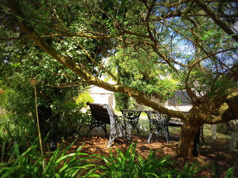 The Pig And Whistle - Tourism Gold Coast 4