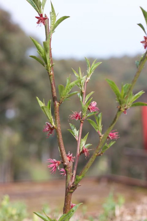 Longwood Retreat - Tourism Gold Coast 32