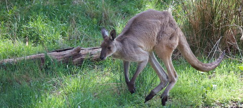 Longwood Retreat - Tourism Gold Coast 36