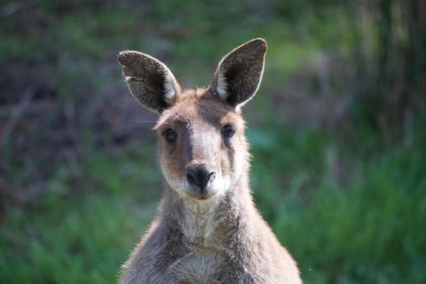 Longwood Retreat - Tourism Gold Coast 35