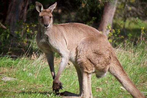 Longwood Retreat - Tourism Gold Coast 34