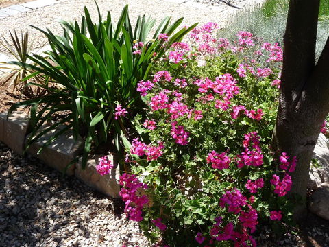 Country Bakehouse Accommodation - Tourism Gold Coast 18