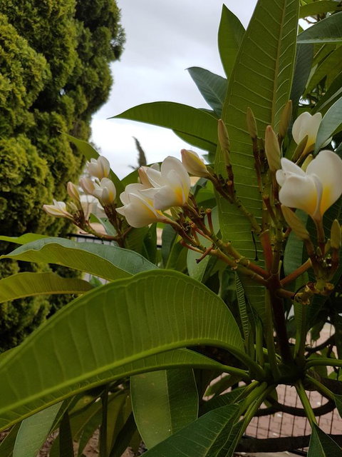 Port Pirie Accommodation And Apartments - Tourism Gold Coast 11