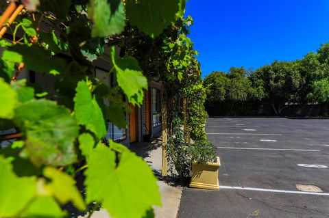 Country Roads Motor Inn Naracoorte - Tourism Gold Coast 16