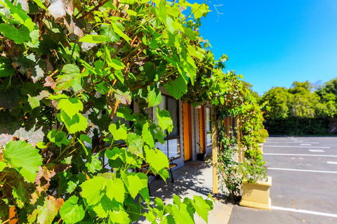 Country Roads Motor Inn Naracoorte - Tourism Gold Coast 18