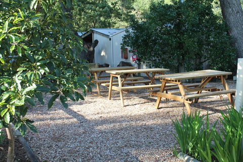 Millicent Hillview Caravan Park - Tourism Gold Coast 9