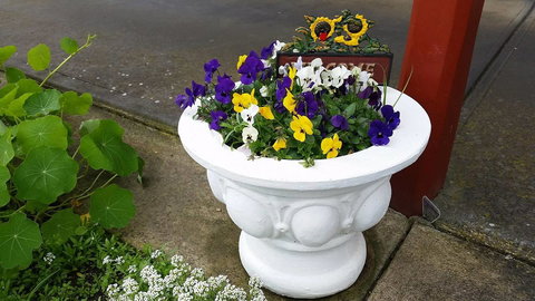 Addies Place Goolwa - Gold Coast 10