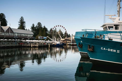 Oceanside 23 - Tourism Gold Coast 25