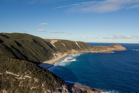 Albany Motel & Apartments - Tourism Gold Coast 21