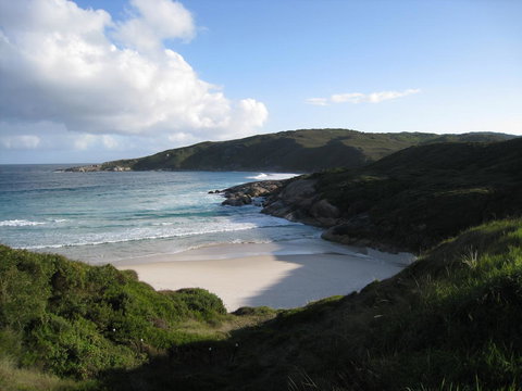 Albany Motel & Apartments - Tourism Gold Coast 23