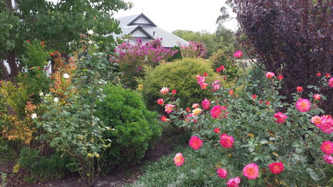 Glenelg On King Bed & Breakfast - Tourism Gold Coast 15