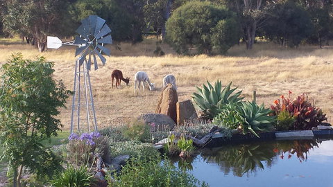 Glenelg On King Bed & Breakfast - Tourism Gold Coast 19