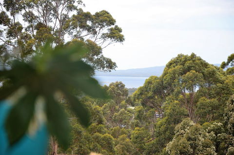 The Floating Forest - Tourism Gold Coast 8