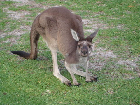 Bella Bali Gardens - Tourism Gold Coast 39