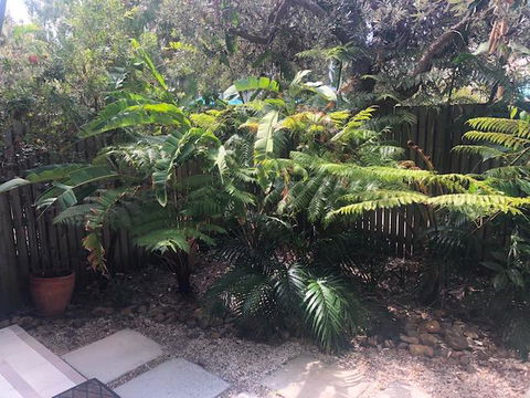 East On Byron - Tourism Gold Coast 40