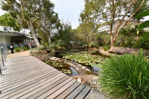 East On Byron - Tourism Gold Coast 44