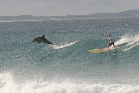 Crescent Head Spa Villa - Gold Coast 22