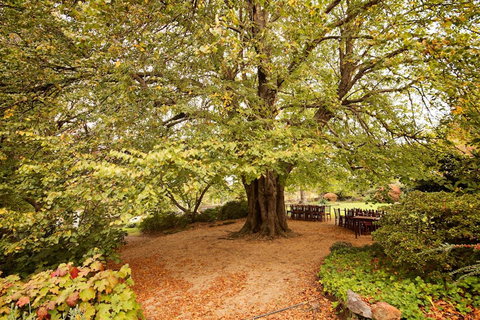 Nesuto Leura Gardens (formerly Waldorf Leura Gardens Resort) - Tourism Gold Coast 1