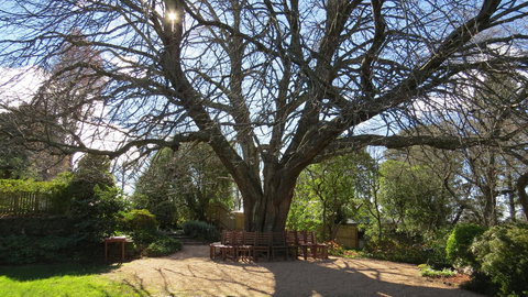 Nesuto Leura Gardens (formerly Waldorf Leura Gardens Resort) - Tourism Gold Coast 3