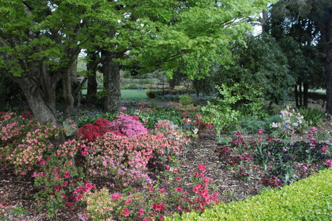 Nesuto Leura Gardens (formerly Waldorf Leura Gardens Resort) - Tourism Gold Coast 2