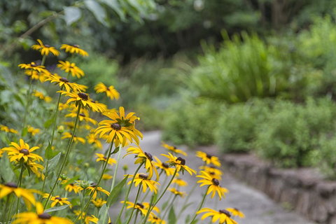 Nesuto Leura Gardens (formerly Waldorf Leura Gardens Resort) - Tourism Gold Coast 16