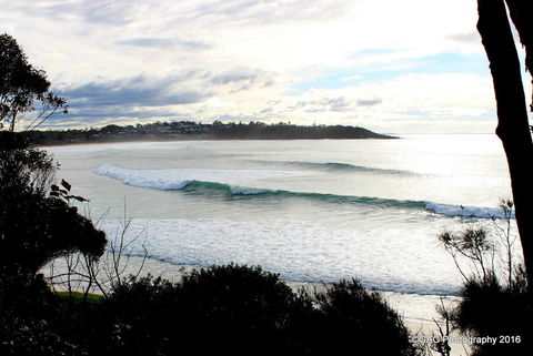 Mollymook Cove Apartments - Tourism Gold Coast 2