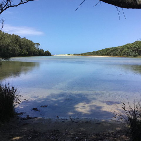 Jetz Bungalow - Gold Coast 5