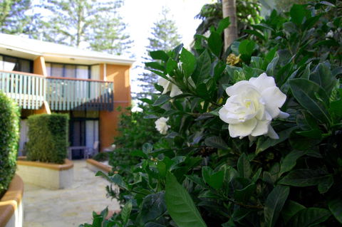 The Crest Byron Bay - Tourism Gold Coast 29