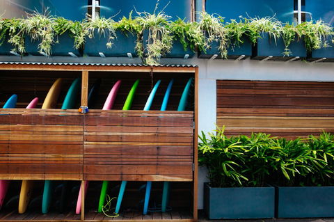 The Lord Byron - Tourism Gold Coast 25