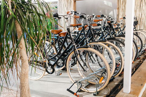 The Lord Byron - Tourism Gold Coast 29