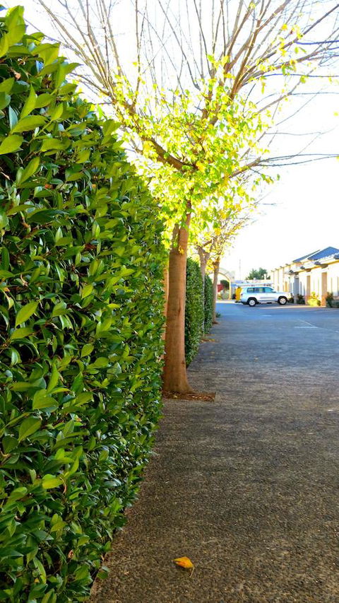Best Western Plus Goulburn - Tourism Gold Coast 37