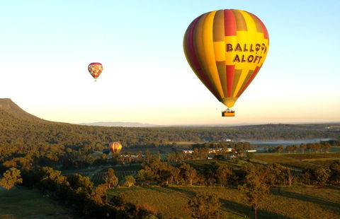 Coal D\' Vine VIEW - Cessnock NSW - Gold Coast 14