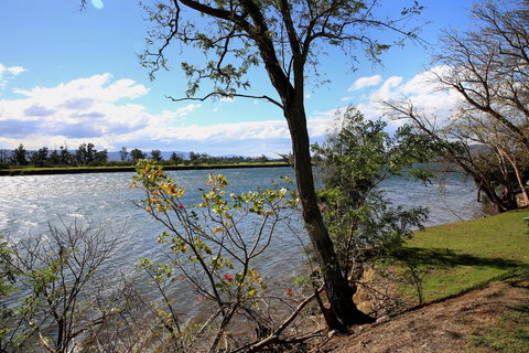 Terara Riverside Retreat - Gold Coast 27