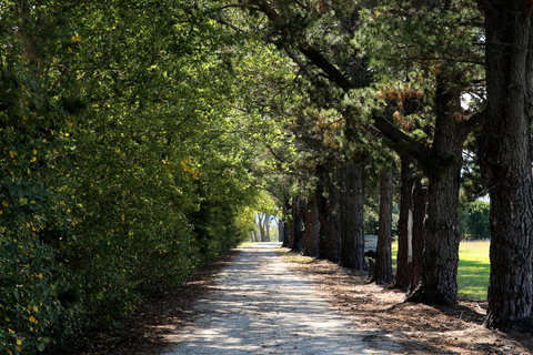 Terara Riverside Retreat - Gold Coast 26