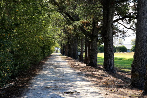 Terara Riverside Retreat - Gold Coast 30