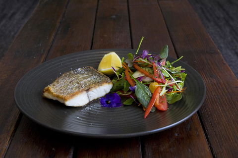 Sage Hotel Wollongong - Tourism Gold Coast 22