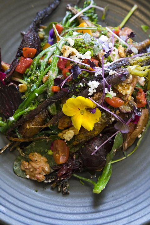 Sage Hotel Wollongong - Tourism Gold Coast 21
