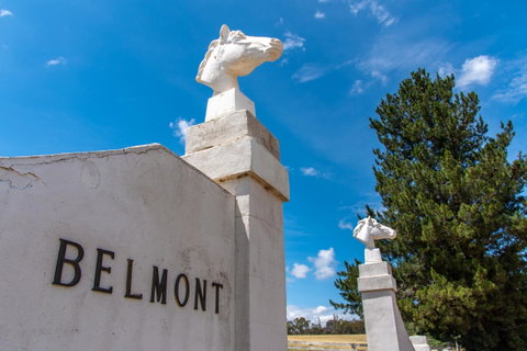 Belmont - Tourism Gold Coast 4