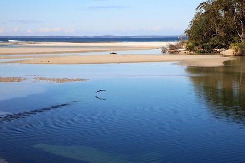 Jervis Bay Beach Shack I Pet Friendly - Tourism Gold Coast 19