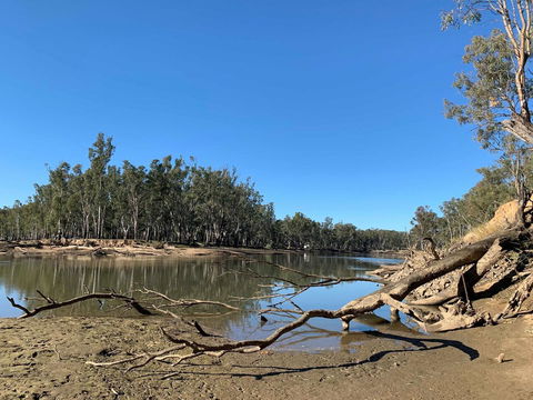 Corowa Bindaree Holiday Park - Tourism Gold Coast 1