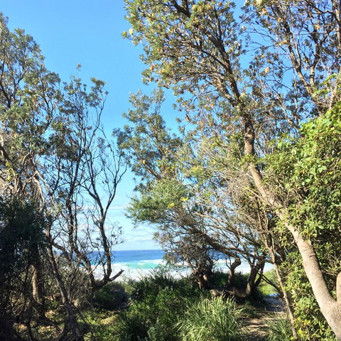 Salthouse Berrara - Tourism Gold Coast 22