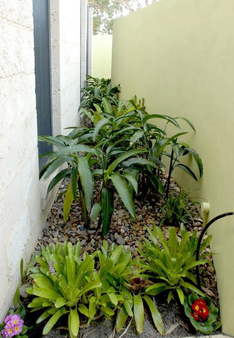 By The Beach B&B Self Contained Apartments - Tourism Gold Coast 24