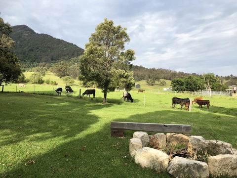 Arcadia - The Barn Cottage & Rosehill Cottage - Tourism Gold Coast 29